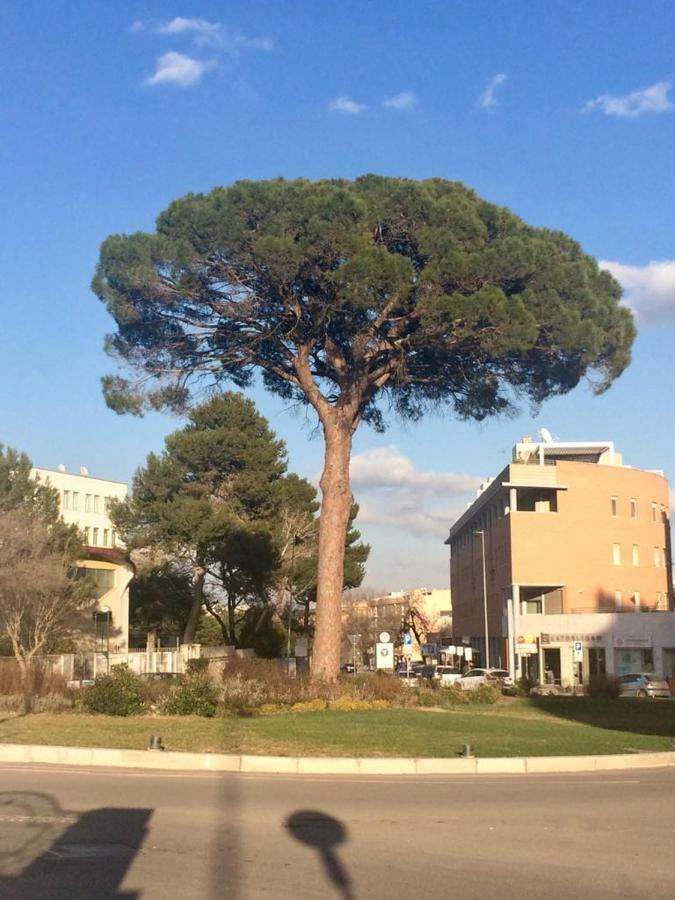 Residence Al Pino Matera Dış mekan fotoğraf